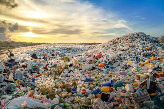 The Plastic Bottle Problem: A Crisis We Can’t Ignore
